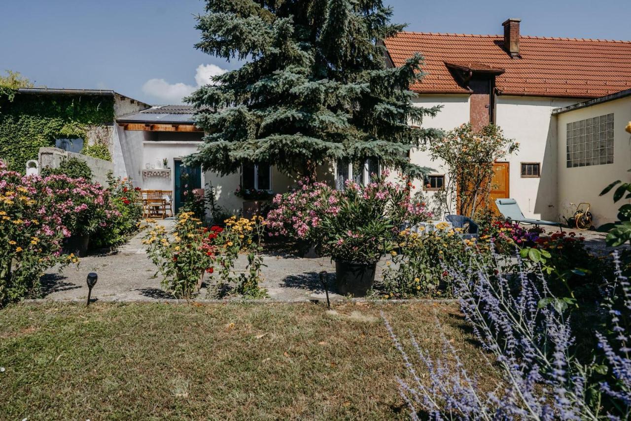 Das Kleine Haus Breitenbrunn  Exterior photo